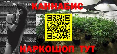 гидра Моздок