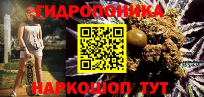 гидра Моздок